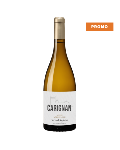Maison Latour Lavail, Terre Ardoise - SIG France -  blanc, 2025 - 75cl
